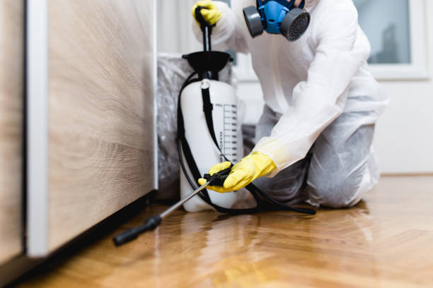 Best Residential Pest Control  in Rio Grande City, TX
