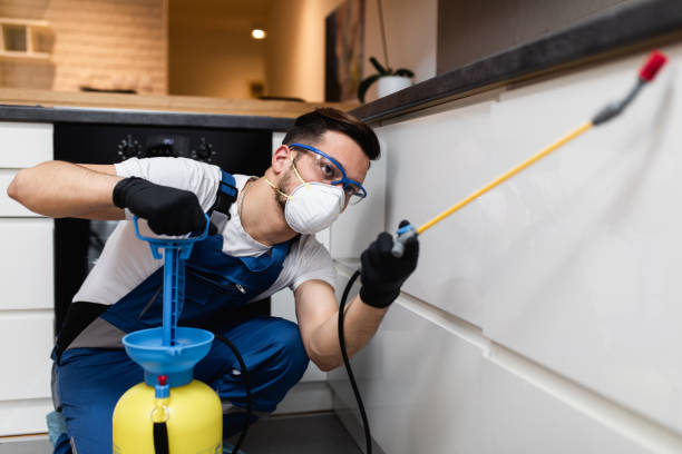 Flea Control Services in Rio Grande City, TX