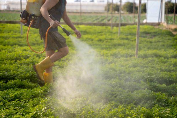 Best Wildlife Control Services  in Rio Grande City, TX