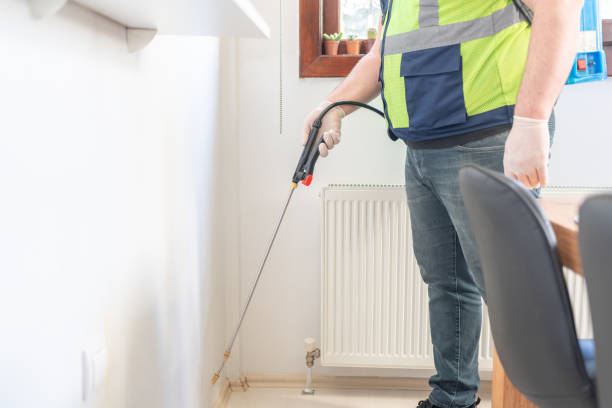 Best Emergency Pest Control  in Rio Grande City, TX