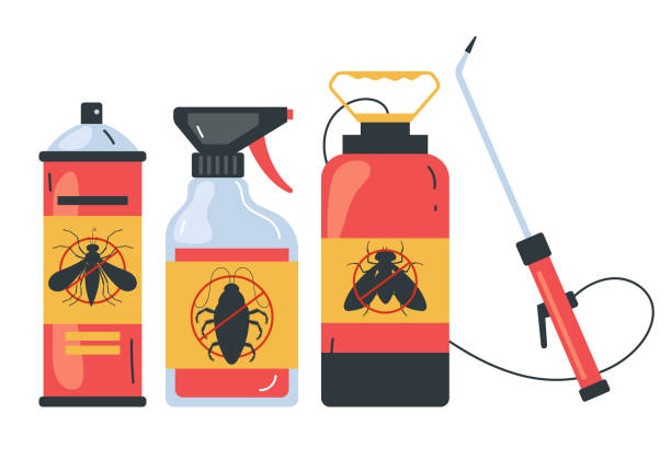 Best Affordable Pest Control Services  in Rio Grande City, TX