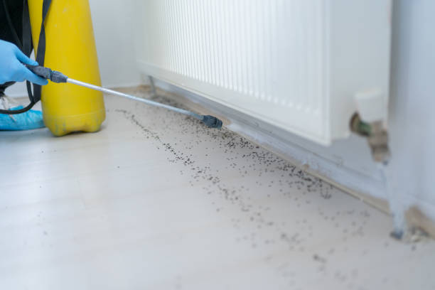 Rio Grande City, TX Pest Control Company